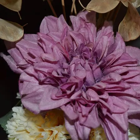 Sofia's Kept Secret In Prime Location! Apartamento Sófia