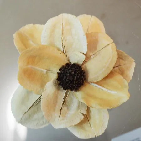 Sofia's Kept Secret In Prime Location! Sófia