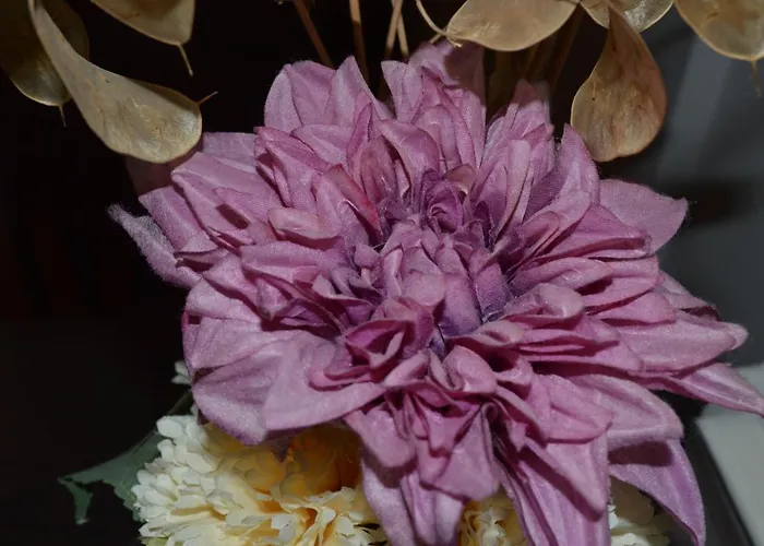 Sofia's Kept Secret In Prime Location! アパート ソフィア