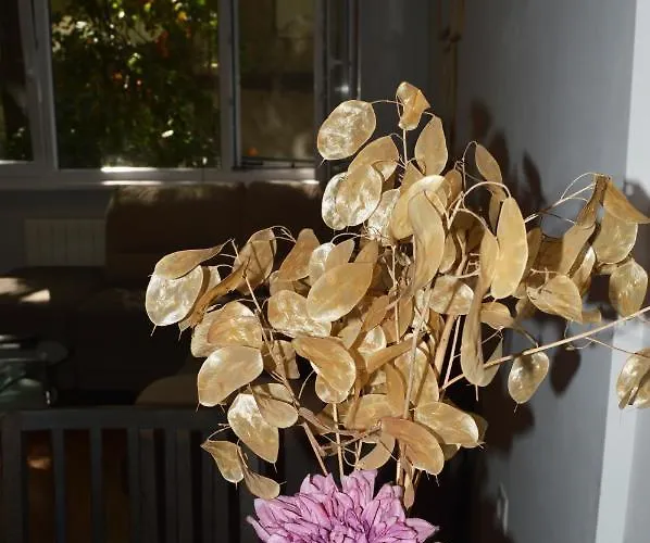 Sofia's Kept Secret In Prime Location!