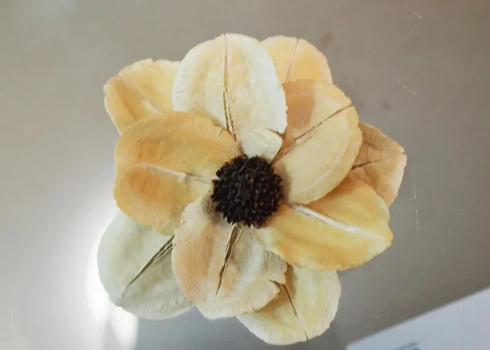 Sofia's Kept Secret In Prime Location! ソフィア